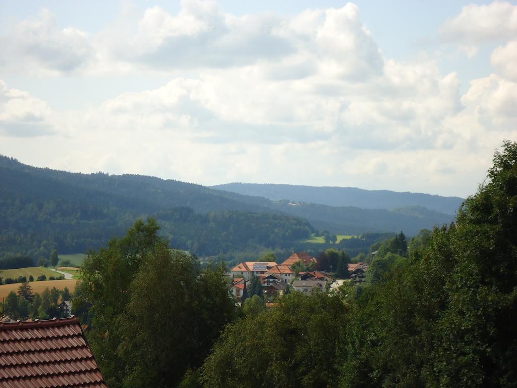 Ferienwohnung Bodenmais Am Silberberg Luaran gambar